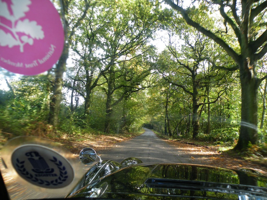 Leafy lanes and an unnessecary tax disc