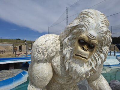 Adventure Golf