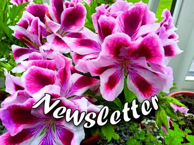 July Newsletter