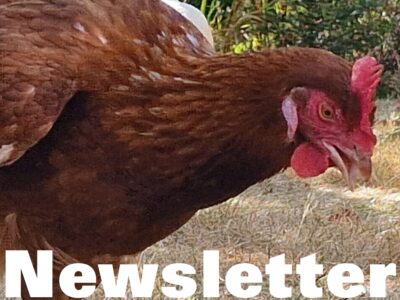 September Newsletter