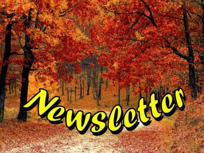 Newsletter November 2023