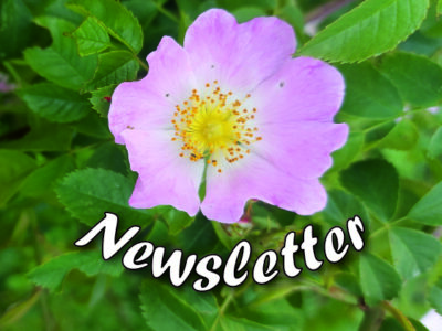 Jun 2025 Newsletter