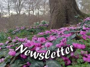Newsletter July 2023